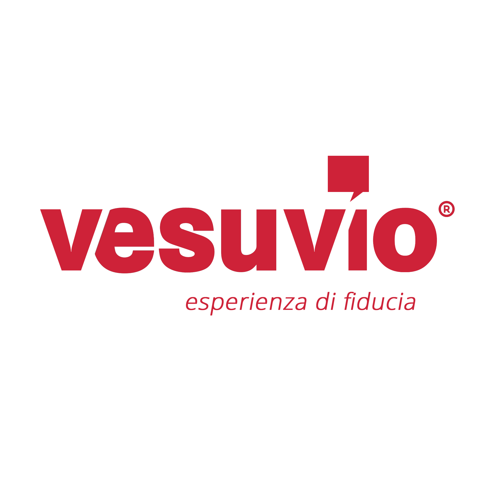 Panno Scamosciato Sintetico PVA (Vetri) - Vesuvio Shop
